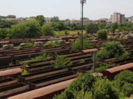 Peste 1.100 de vagoane vechi zac în triajul de la Craiova