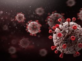Varianta Delta a coronavirusului a devenit dominantă în Europa