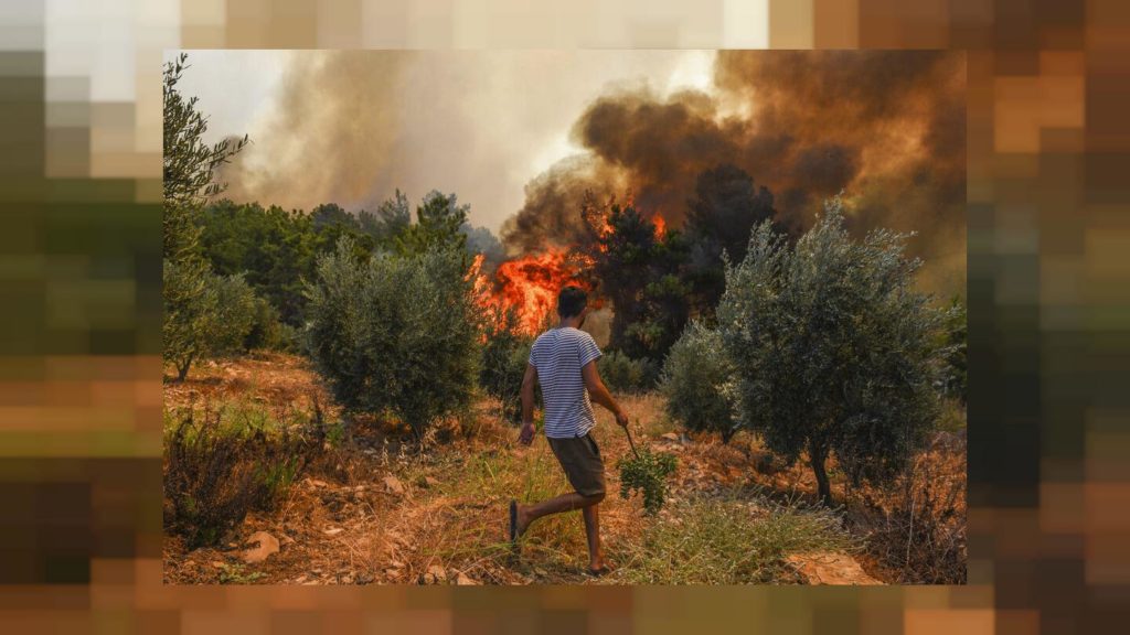 Caniculă şi pericol de incendii în Italia