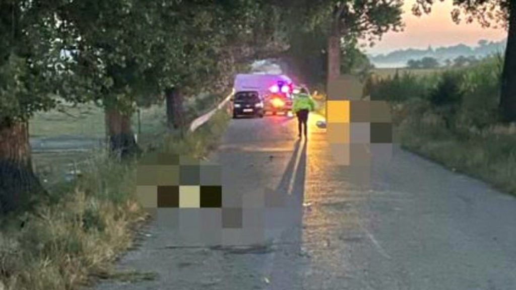 Vrancea: Trei tineri au murit, după ce maşina în care se aflau a intrat într-un copac