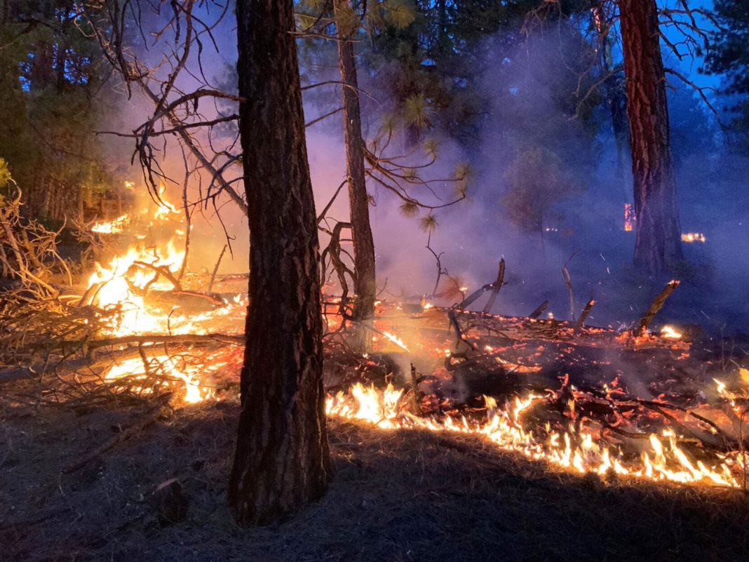 Cei doi silvicultori au fost prinşi de un incendiu care a izbucnit în apropierea unui sat din regiunea Sandanski