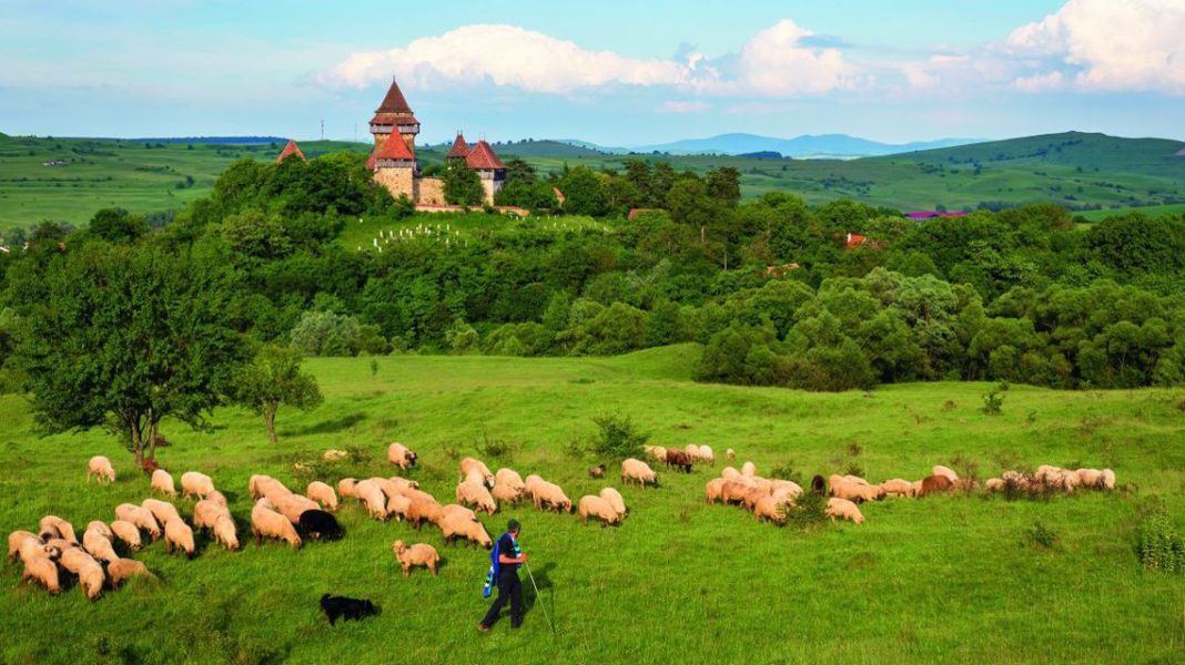 Viscri, satul săsesc din Transilvania care a devenit vedetă internațională