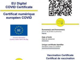 Doar cu certificat digital mai poți trece frontierele statelor din UE