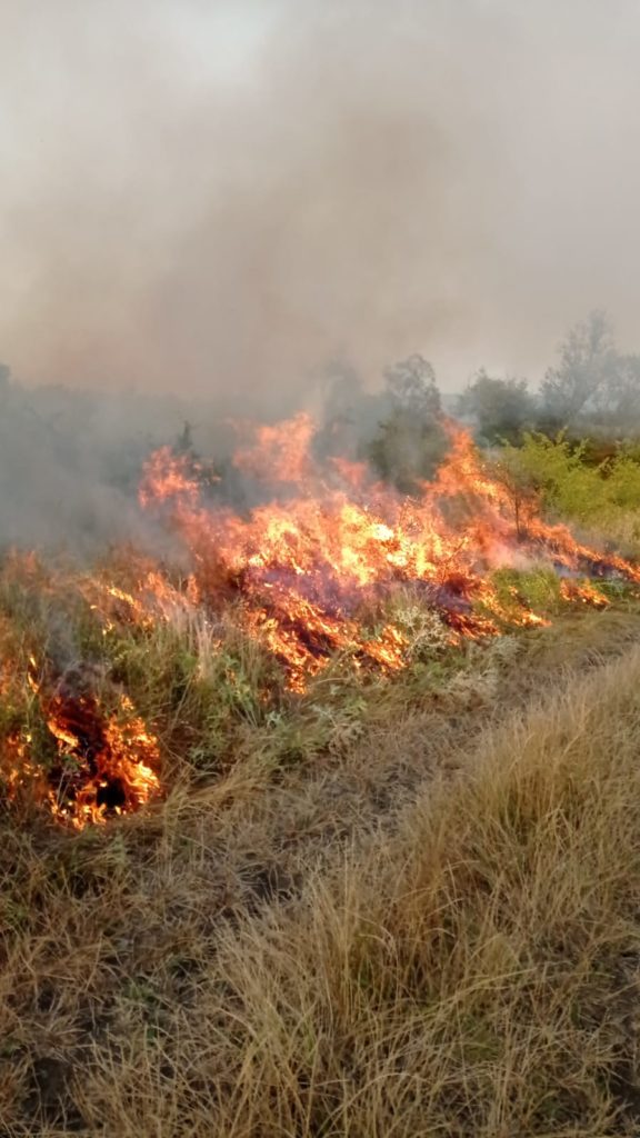 Mehedinţi: Incendiu de proporţii în comuna Devesel