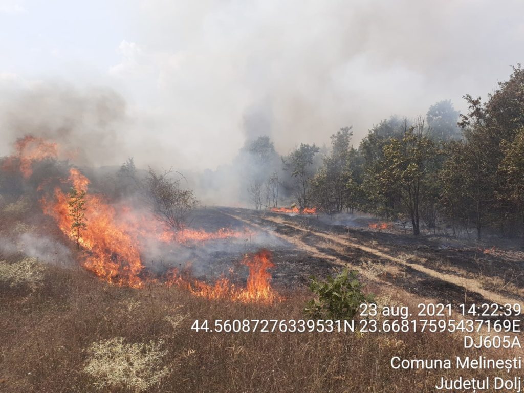 Dolj: Incendiu de vegataţie uscată în Melineşti