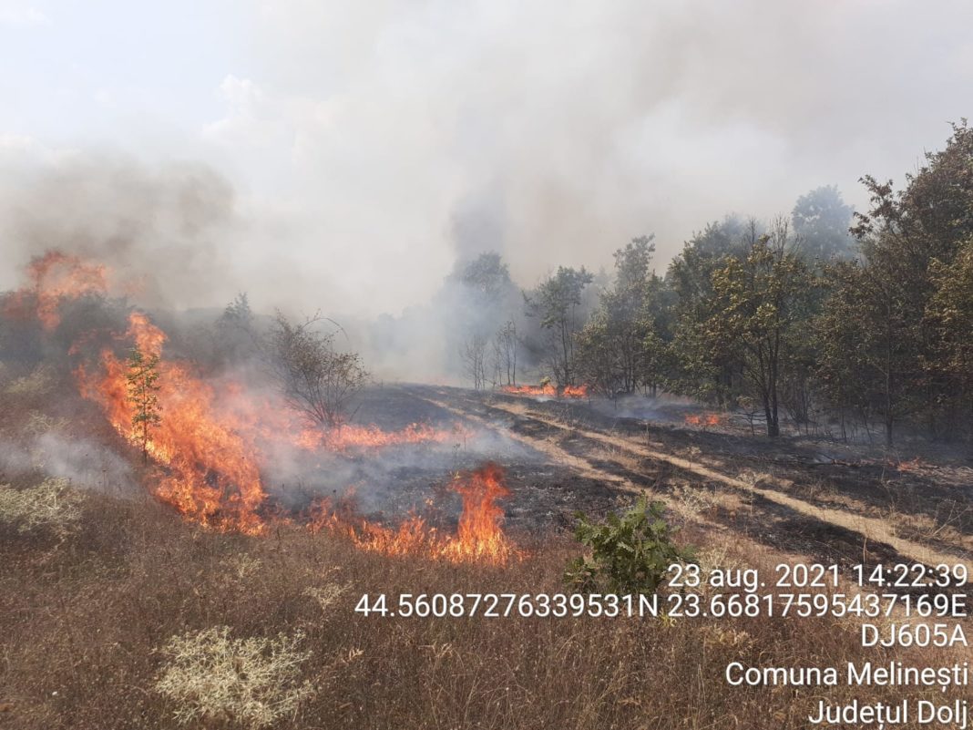 Incendiu în comuna Melineşti este localizat