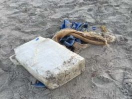 Cocaină de peste un milion de dolari, găsită de un turist pe o plajă din Florida