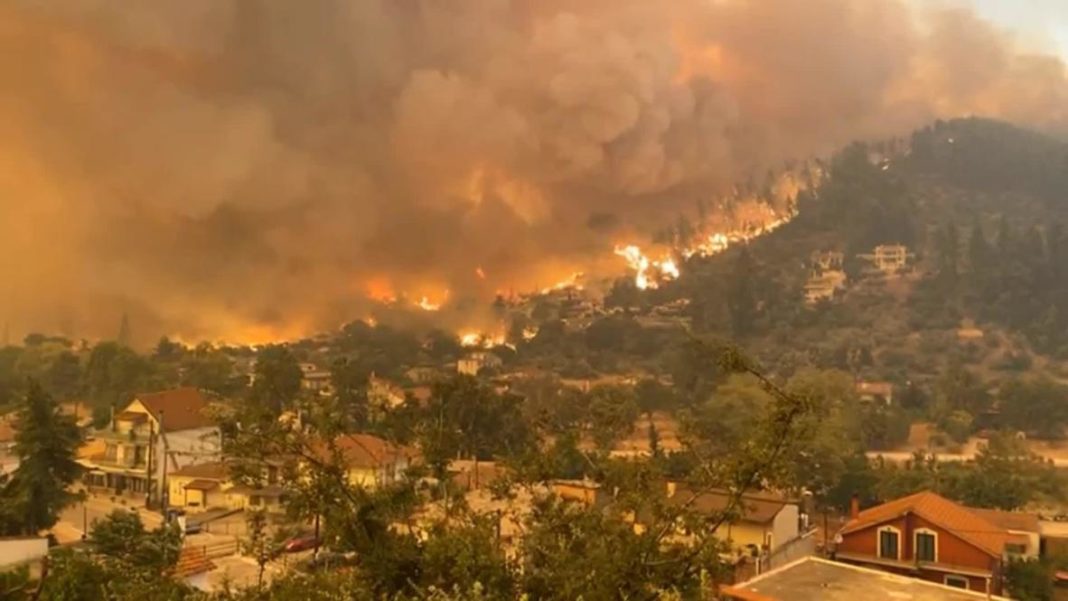 Premierul grec a prezentat scuze şi a promis un ajutor de 500 milioane de euro