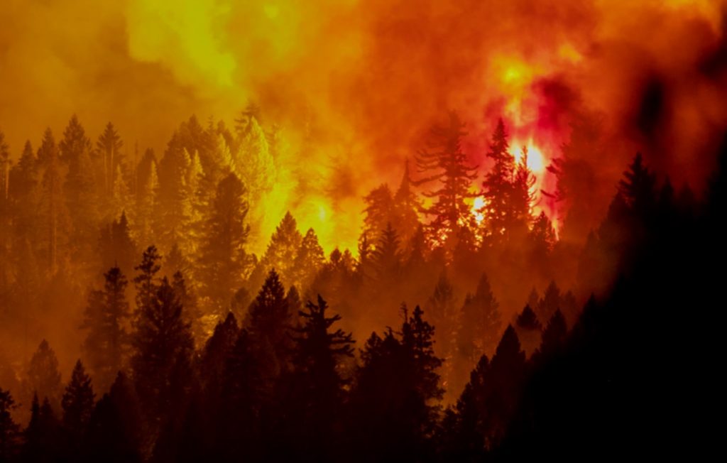 (VIDEO) Incendiu de vegetație, scăpat de sub control în nordul statului California
