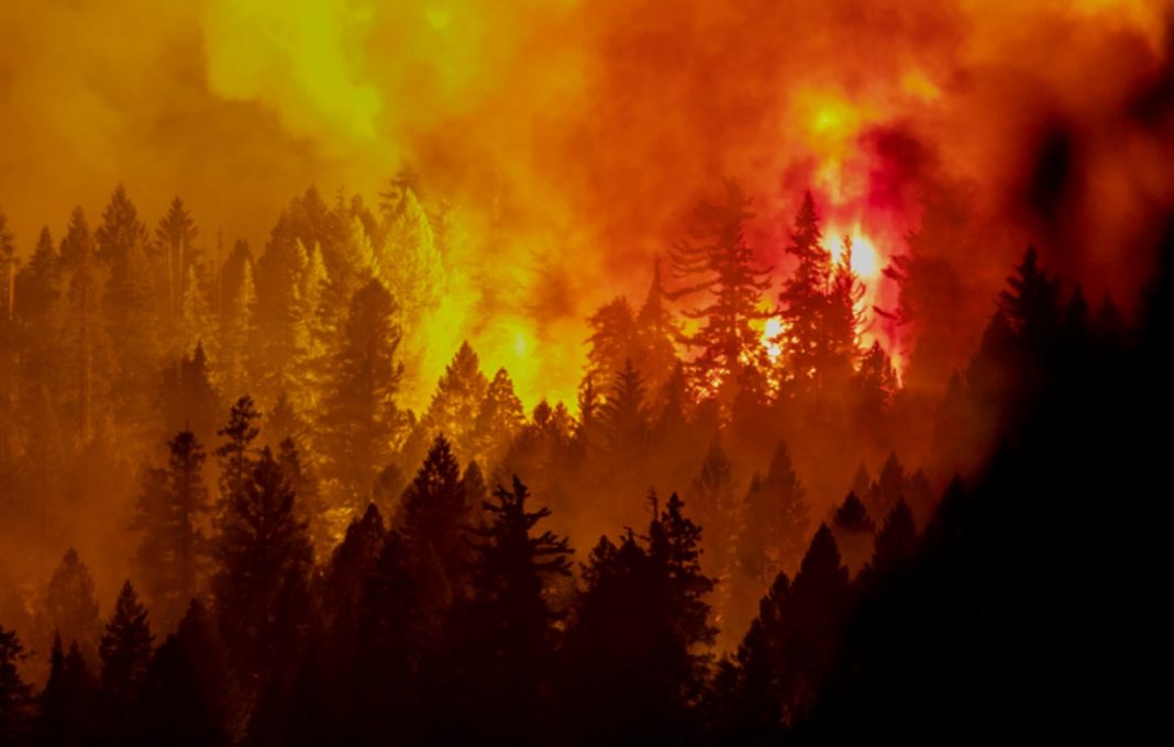 Incendiu de vegetație, scăpat de sub control în nordul statului California