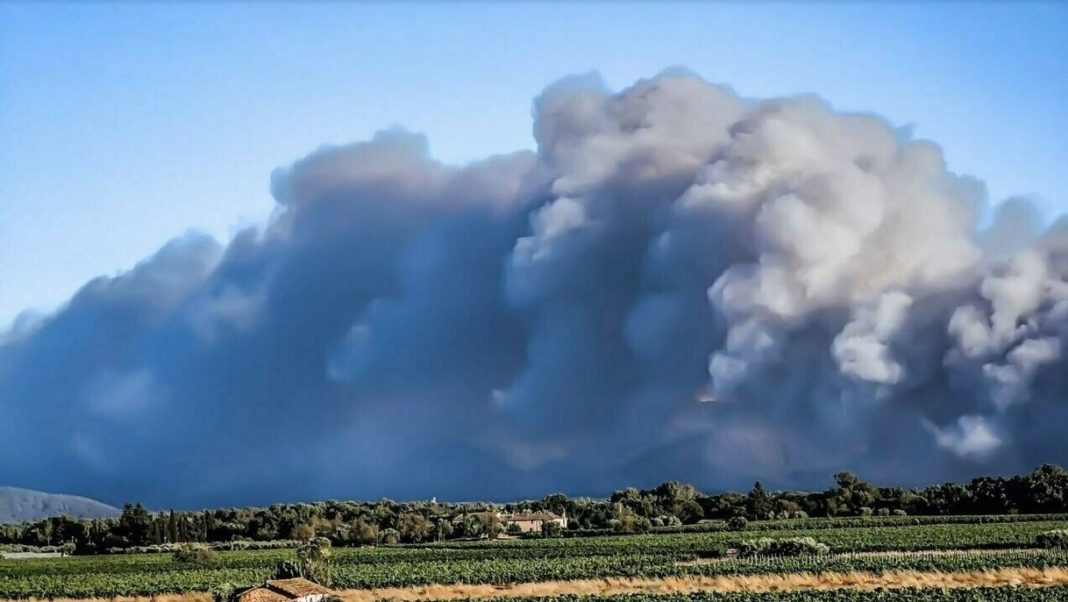 Au ars deja câteva sute de hectare