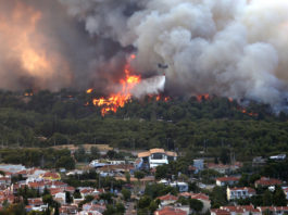 Incendiul de la periferia Atenei a pus pe fugă mii de oameni