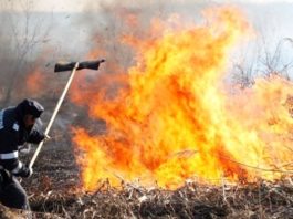 103 incendii de vegetație în România, într-o singură zi