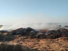 Incendiu de proporţii la gunoiul de grajd de la o fermă din Vâlcea