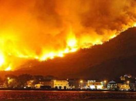 Nou incendiu pe insula Evia