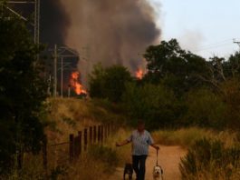 Două suburbii din Atena, evacuate din cauza unui incendiu care a mistuit câteva case