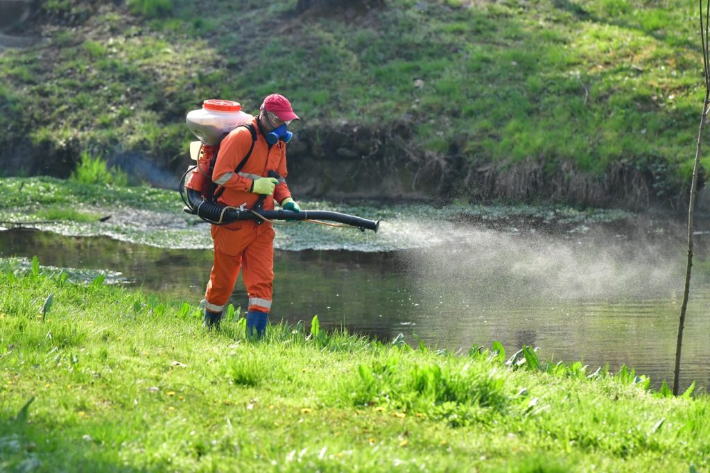 O nouă etapă de dezinsecţie pe domeniul public