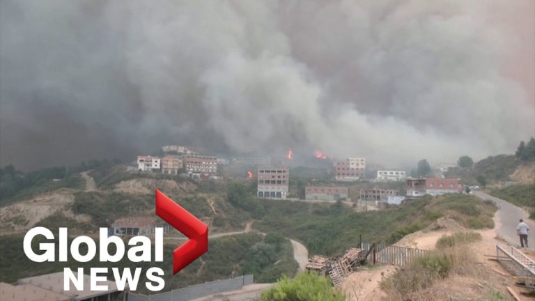 42 de morţi în incendiile provocate de piromani în Algeria