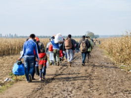 Lituania vrea să construiască o barieră la frontiera cu Belarus, pentru a opri valul de migranţi