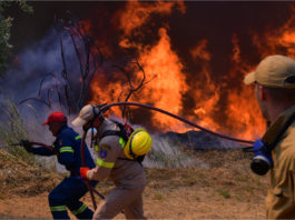 UE trimite avioane şi pompieri suplimentari la incendiile din Europa