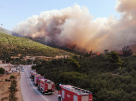 Pompierii români care au acţionat în Grecia, felicitaţi de premier