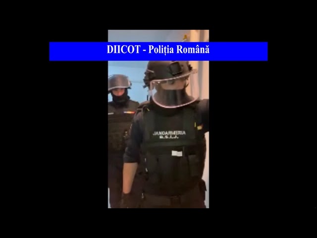 (VIDEO) Înşelăciuni pe internet cu acte de firmă false. 32 de percheziții în Dolj, București și alte 3 județe