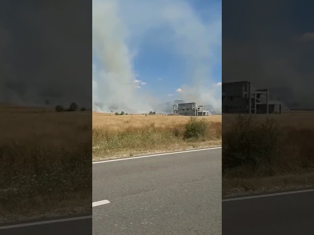 Gorj: Incendiu de vegetație uscată la Peștișani