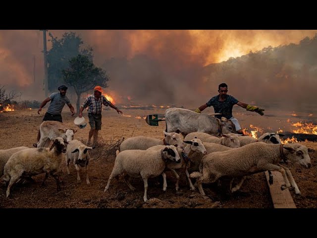 (VIDEO) Turcii luptă cu incendiile care au devastat sate întregi