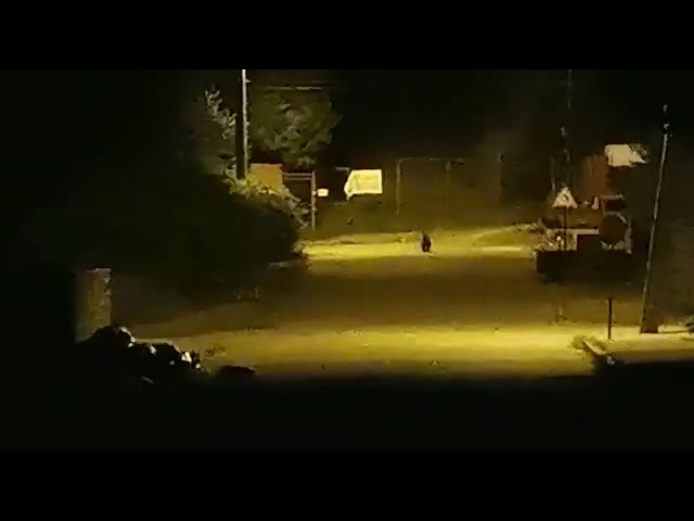 (VIDEO) O ursoaică a atacat o mașină pe o stradă din Bușteni