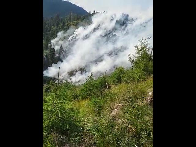 (VIDEO) Vâlcea: Incendiu de fond forestier în Munții Căpățânii