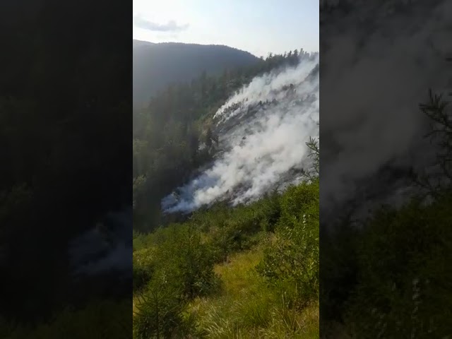 (VIDEO) Vâlcea: Incendiul din Munții Căpățânii se manifestă pe 4 hectare