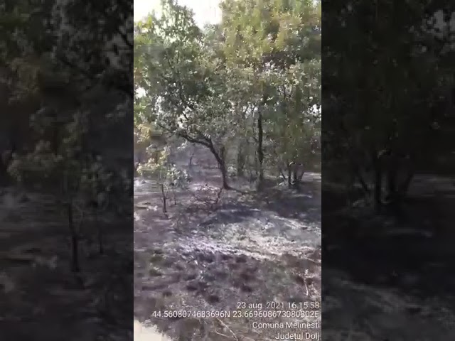 (VIDEO) Incendiul din Melinești a fost lichidat