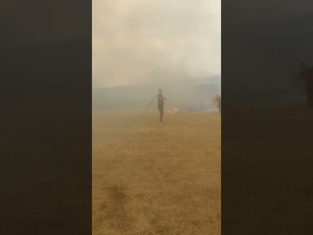(VIDEO) Opt incendii în Mehedinţi în ultimele 5 ore
