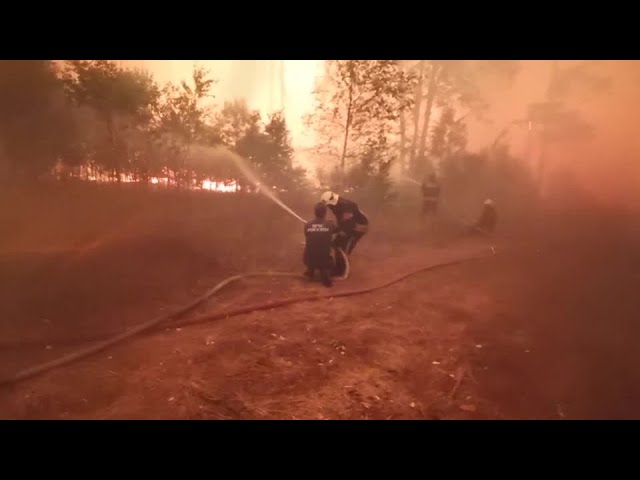 (Video) Pompierii luptă în Siberia cu cele mai grave incendii din istoria Rusiei
