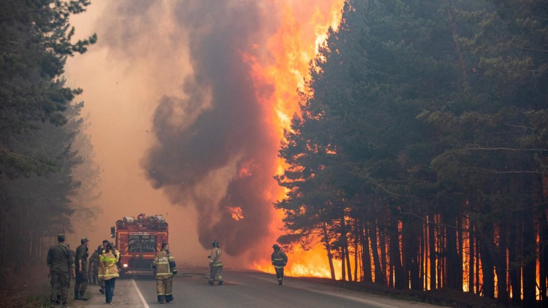 siberia2 250 de incendii ard în Rusia, unde au distrus deja 3 milioane de hectare de teren