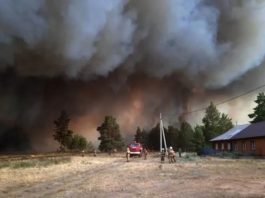 Peste 8.000 de pompieri şi voluntari luptă cu incendiile din Siberia