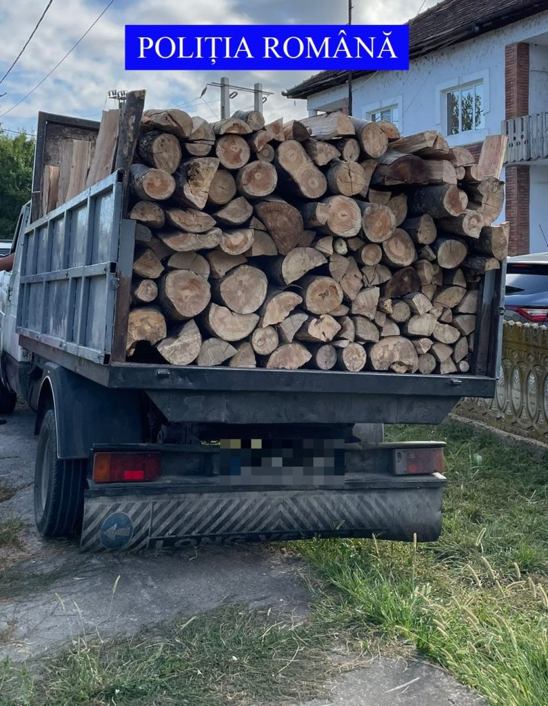 Olt: Bărbat, depistat de două ori în timp ce transporta material lemnos fără documente