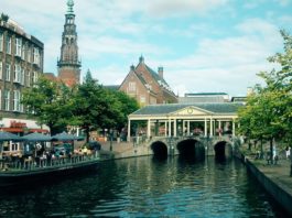 Olanda anunță introducerea unui "permis Covid" pentru restaurante, baruri și festivaluri