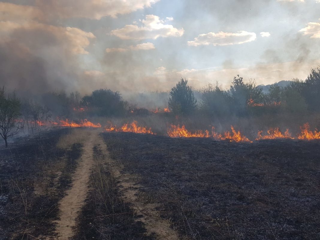 Incendiu la Hipodromul din Craiova