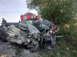 O femeie din Arad a murit după ce a intrat cu maşina într-un copac