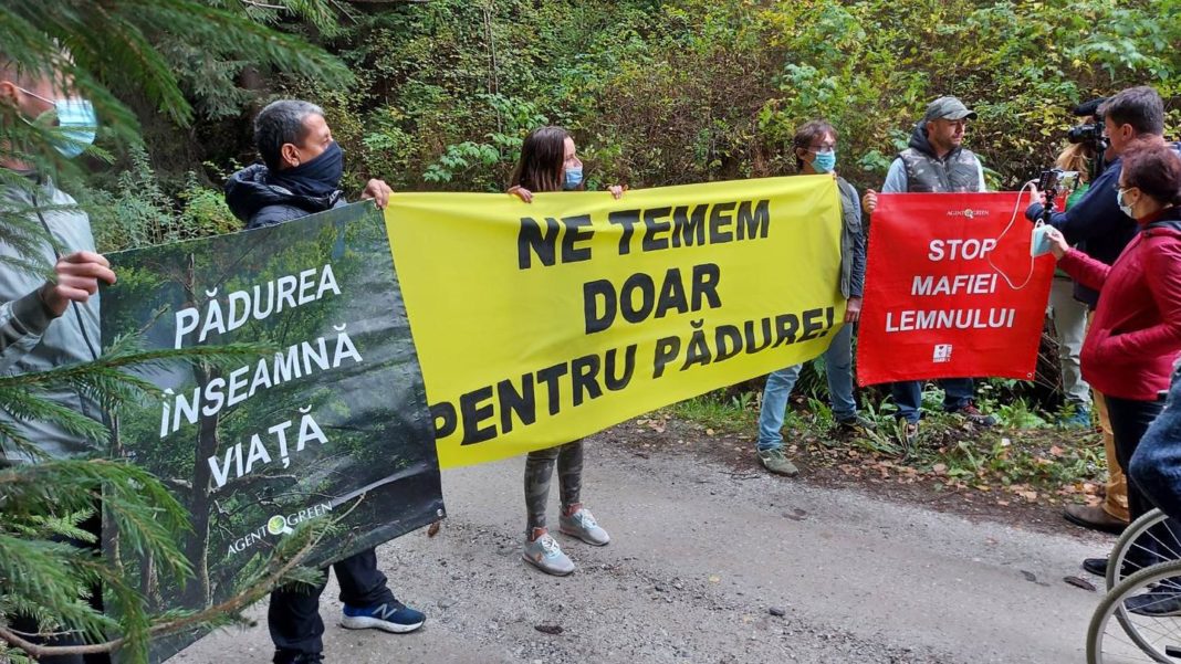 Activiștii de mediu spun că se impune de urgență ca cercetarea penală să fie mutată la un Parchet capabil să analizeze riguros tratamentele grave la care au fost supuse victimele