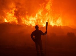 Spania trimite armata pentru a stinge incendiile din Andaluzia