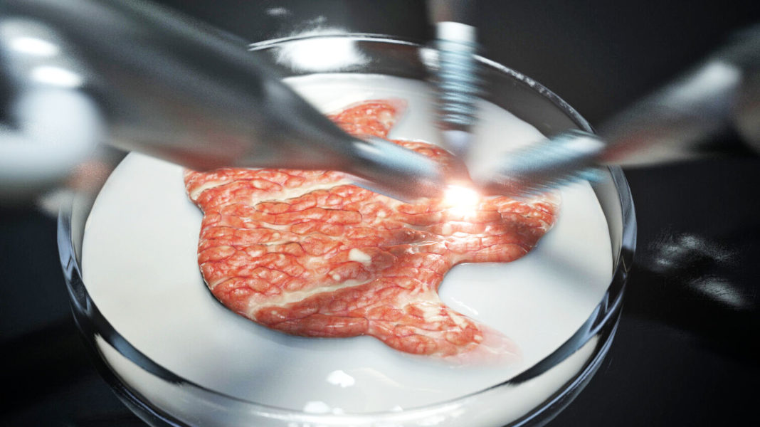 După hamburgerul fals, acum, în Europa soseşte şi peștele sintetic