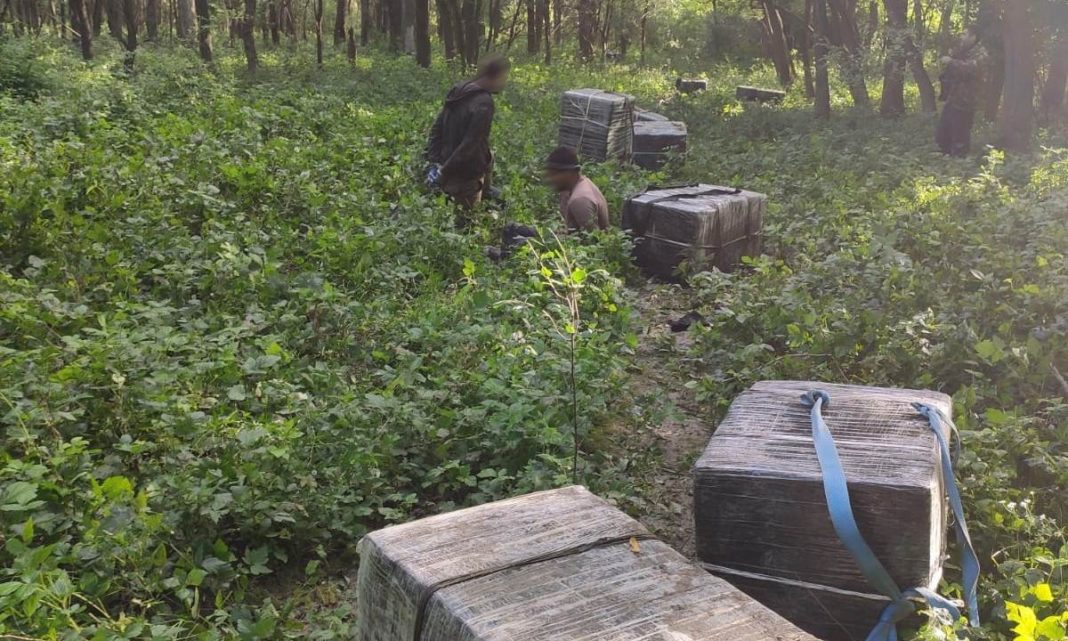 Trei contrabandişti, prinşi cu 26 de colete de ţigări într-o pădure din Botoşani