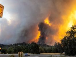 Peste 1.600 de pompieri luptă cu un nou incendiu de vegetaţie în California