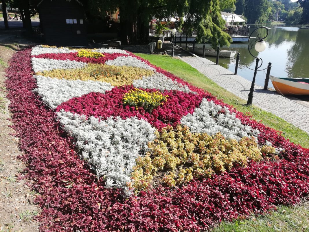 Cum a înflorit la Craiova afacerea „iarba colorată“. Flori plantate în Parcul „Nicolae Romanescu“ din Craiova.