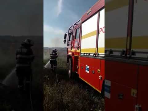 (VIDEO) Vâlcea: Șapte hectare de veghetație uscată, în flăcări