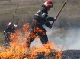 Gorj: Pompierii intervin la trei incendii de vegetație uscată