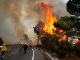 Un pompier a murit într-un incendiu de vegetaţie din provincia spaniolă Malaga