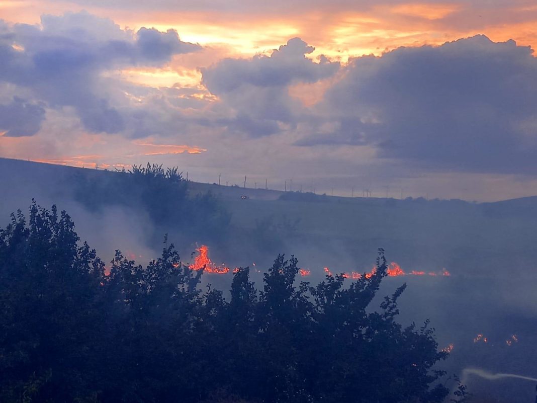Zece hectare de stuf și vegetație ard în zona lacului Babadag
